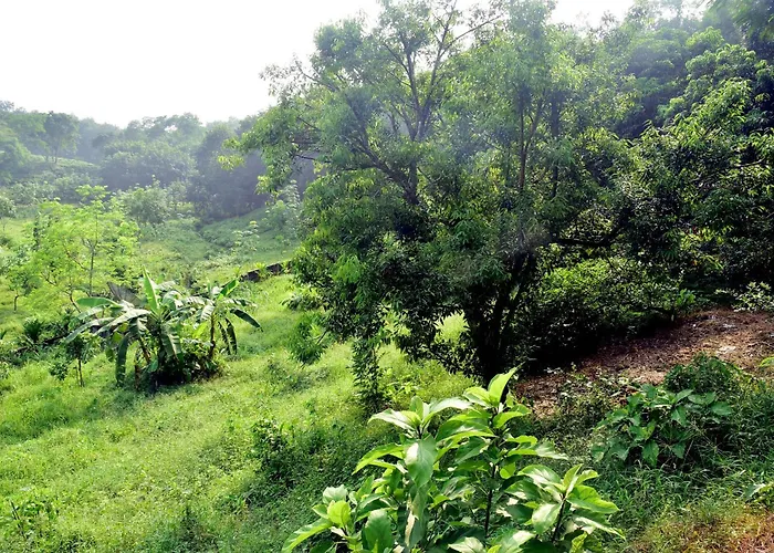 Tea Heaven Eco Cottage